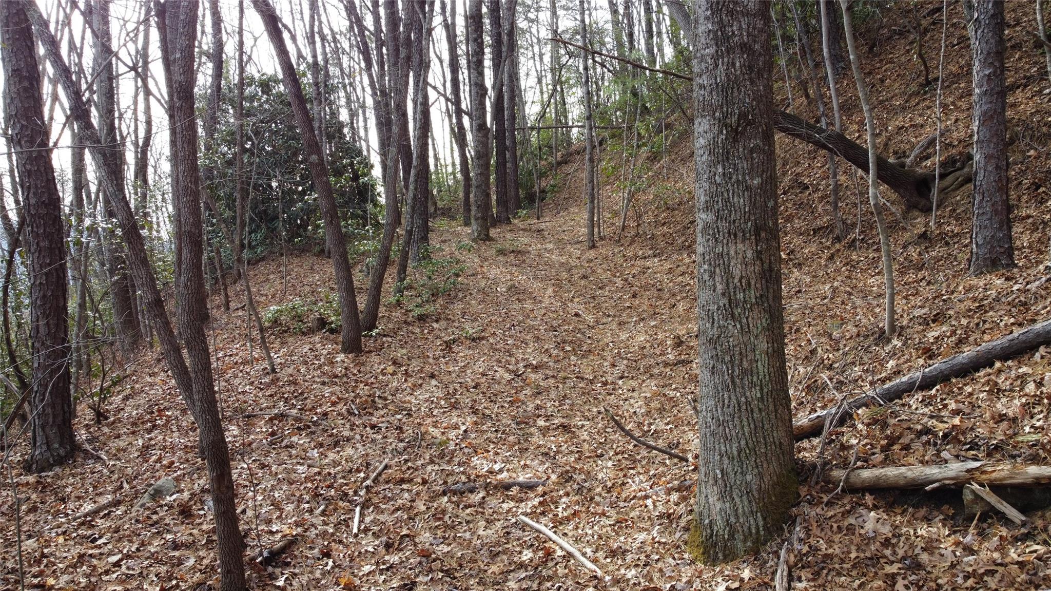 0000 Lookout Terrace Road Black Mountain NC 28711