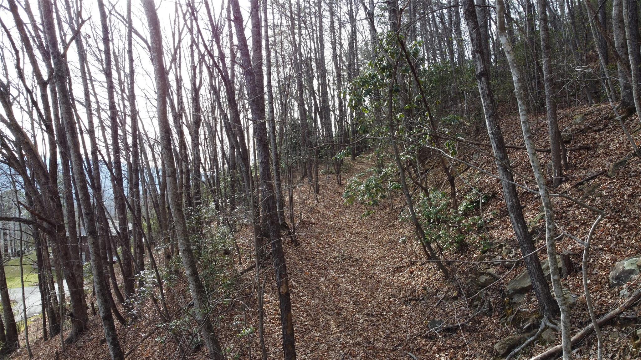 0000 Lookout Terrace Road Black Mountain NC 28711