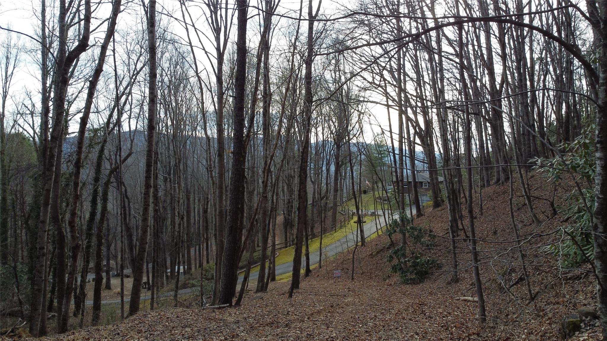 0000 Lookout Terrace Road Black Mountain NC 28711