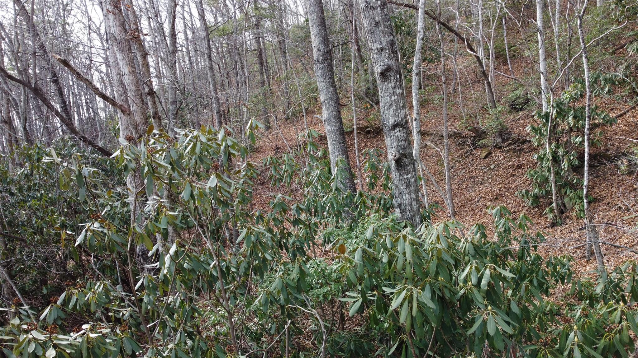 0000 Lookout Terrace Road Black Mountain NC 28711