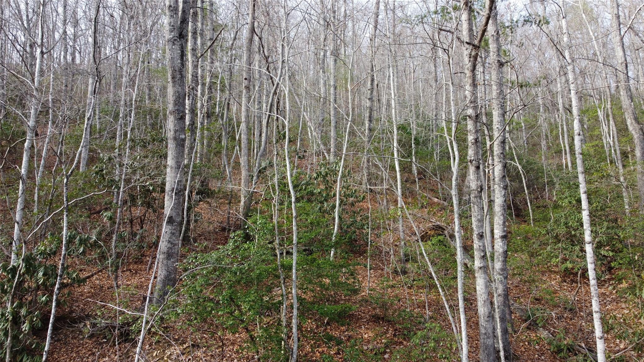 0000 Lookout Terrace Road Black Mountain NC 28711