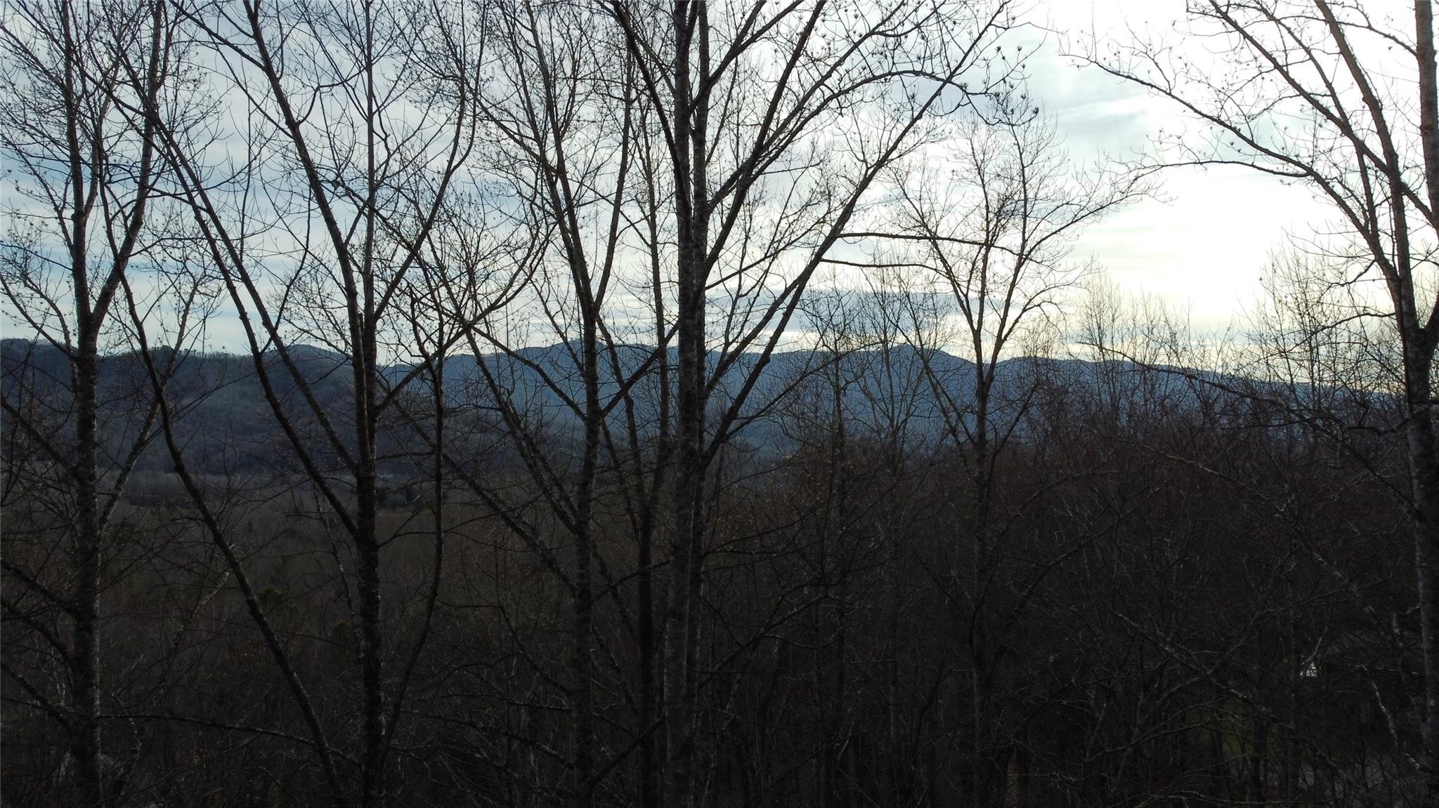 0000 Lookout Terrace Road Black Mountain NC 28711