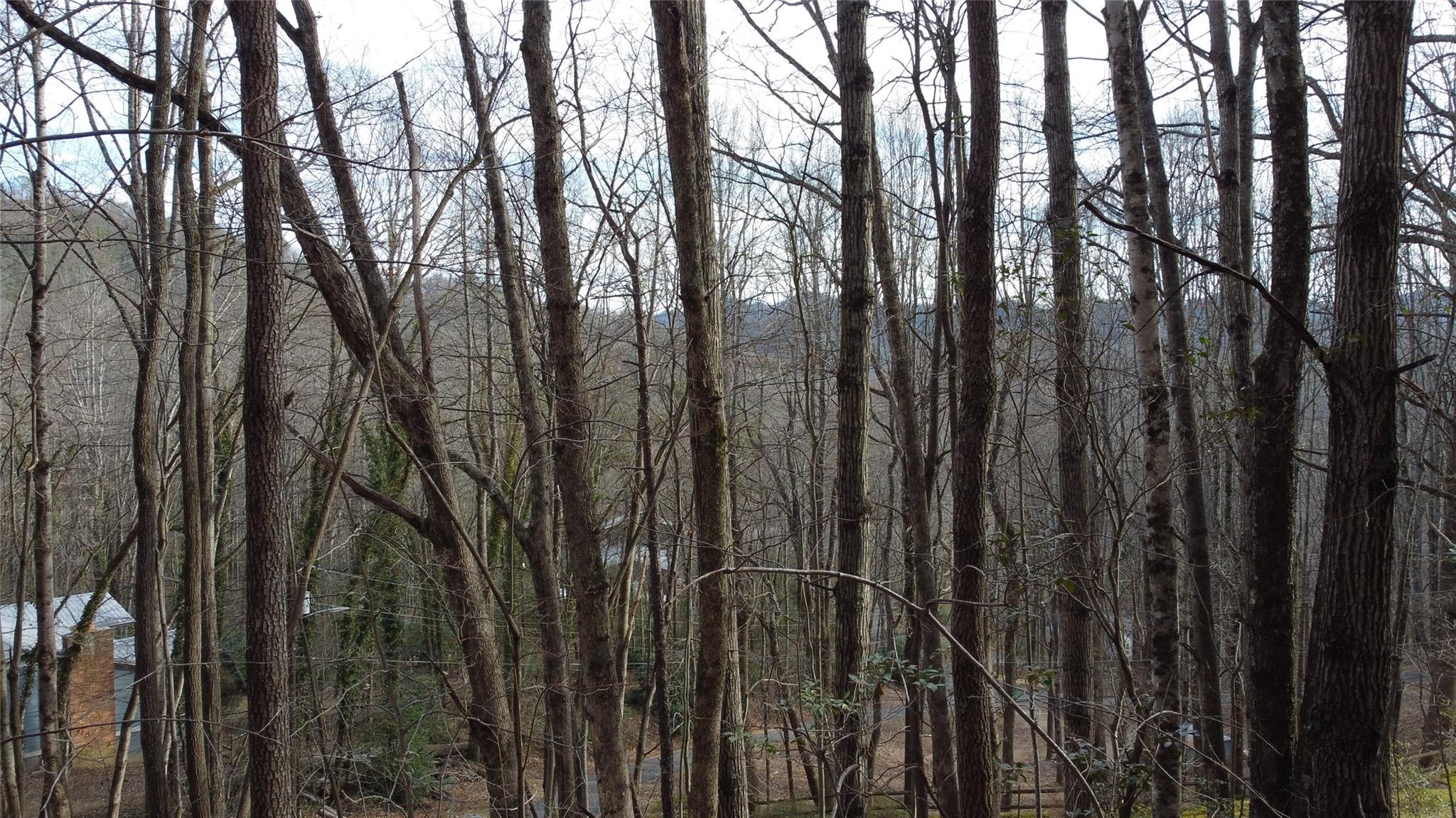 0000 Lookout Terrace Road Black Mountain NC 28711