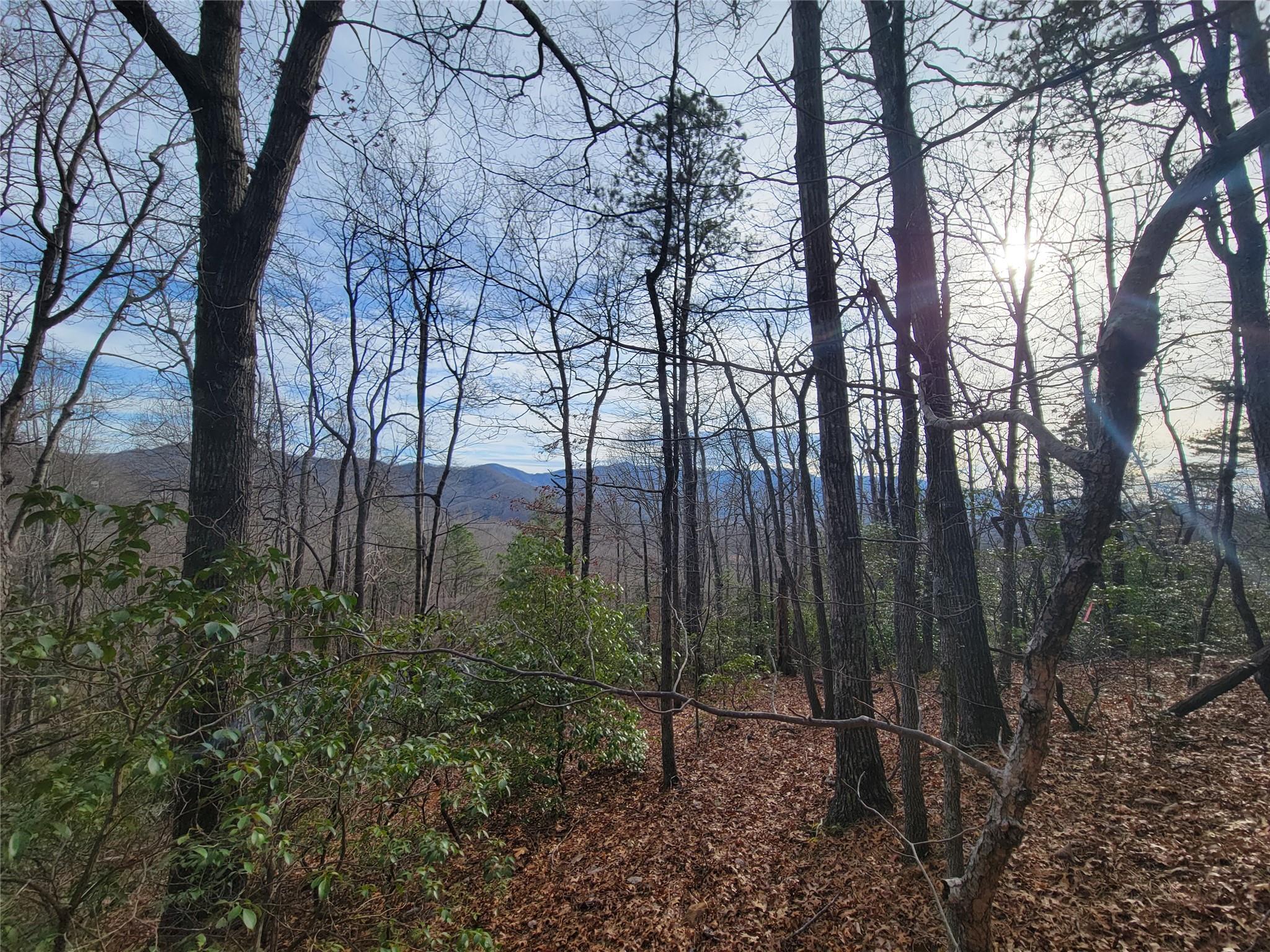 0000 Lookout Terrace Road Black Mountain NC 28711