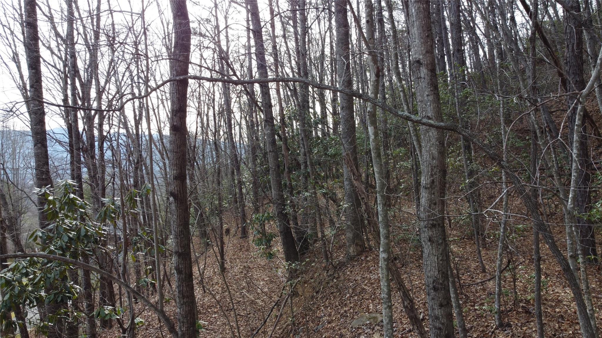 0000 Lookout Terrace Road Black Mountain NC 28711