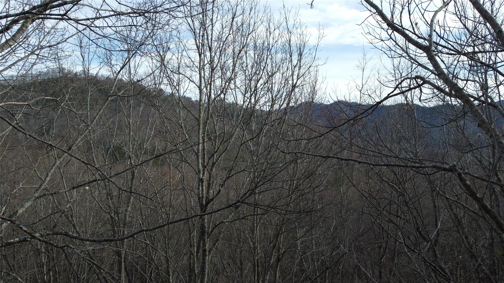 0000 Lookout Terrace Road Black Mountain NC 28711