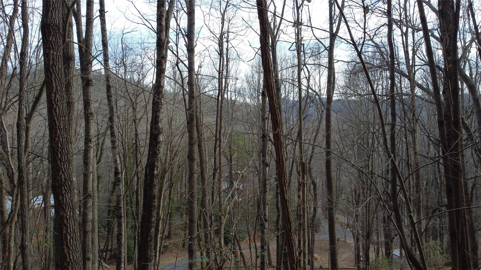 0000 Lookout Terrace Road Black Mountain NC 28711