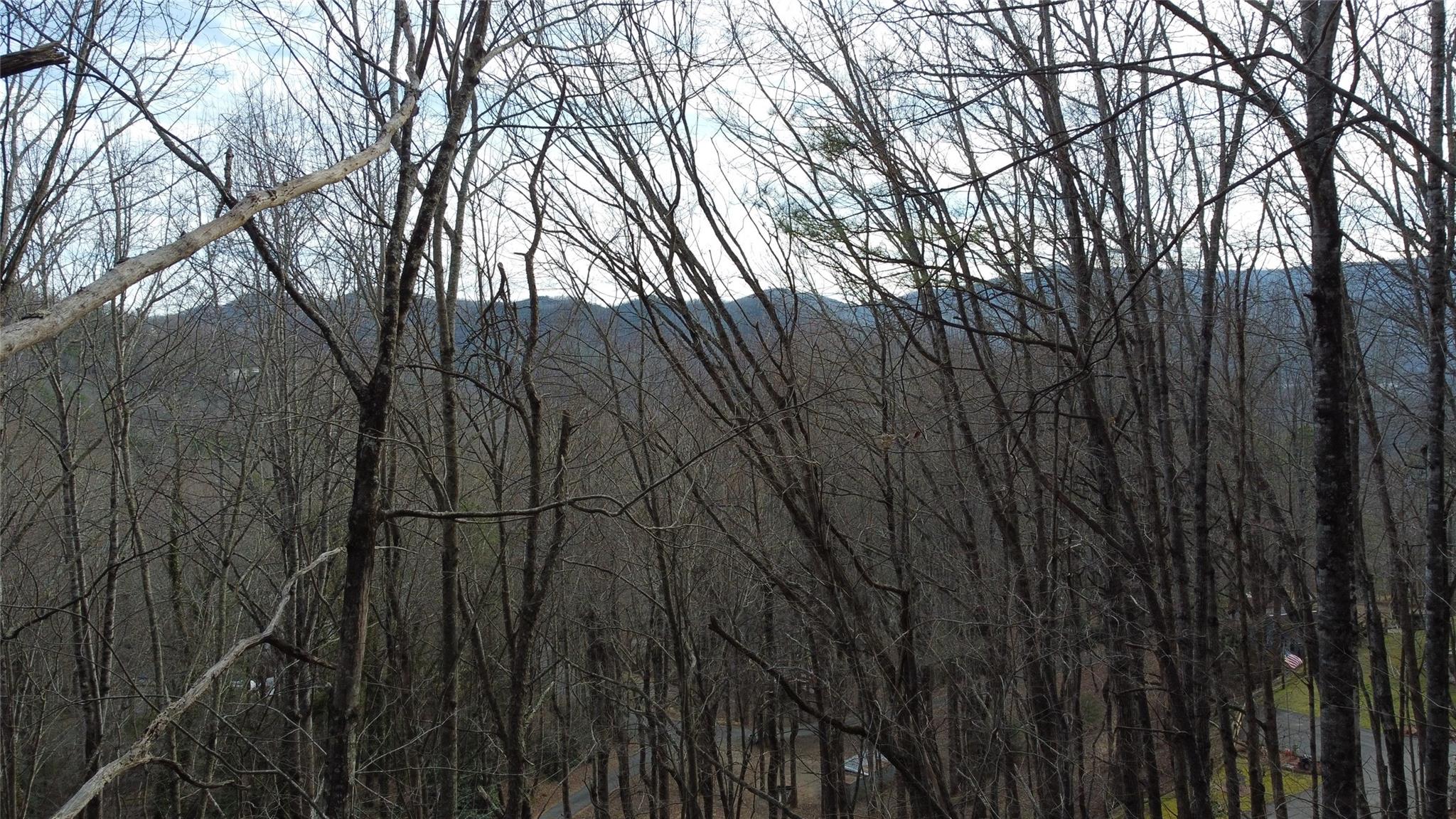 0000 Lookout Terrace Road Black Mountain NC 28711