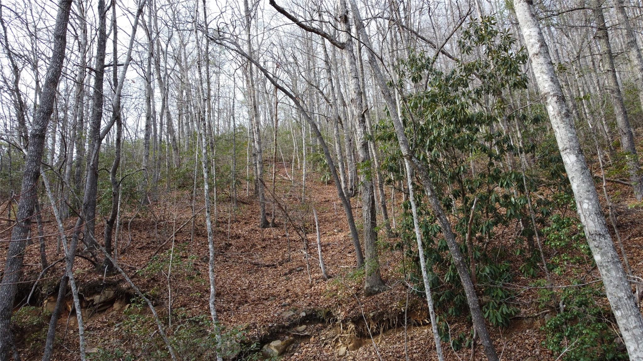 0000 Lookout Terrace Road Black Mountain NC 28711