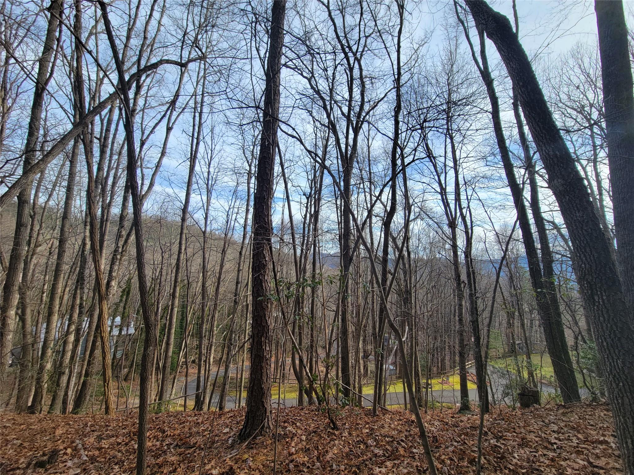 0000 Lookout Terrace Road Black Mountain NC 28711