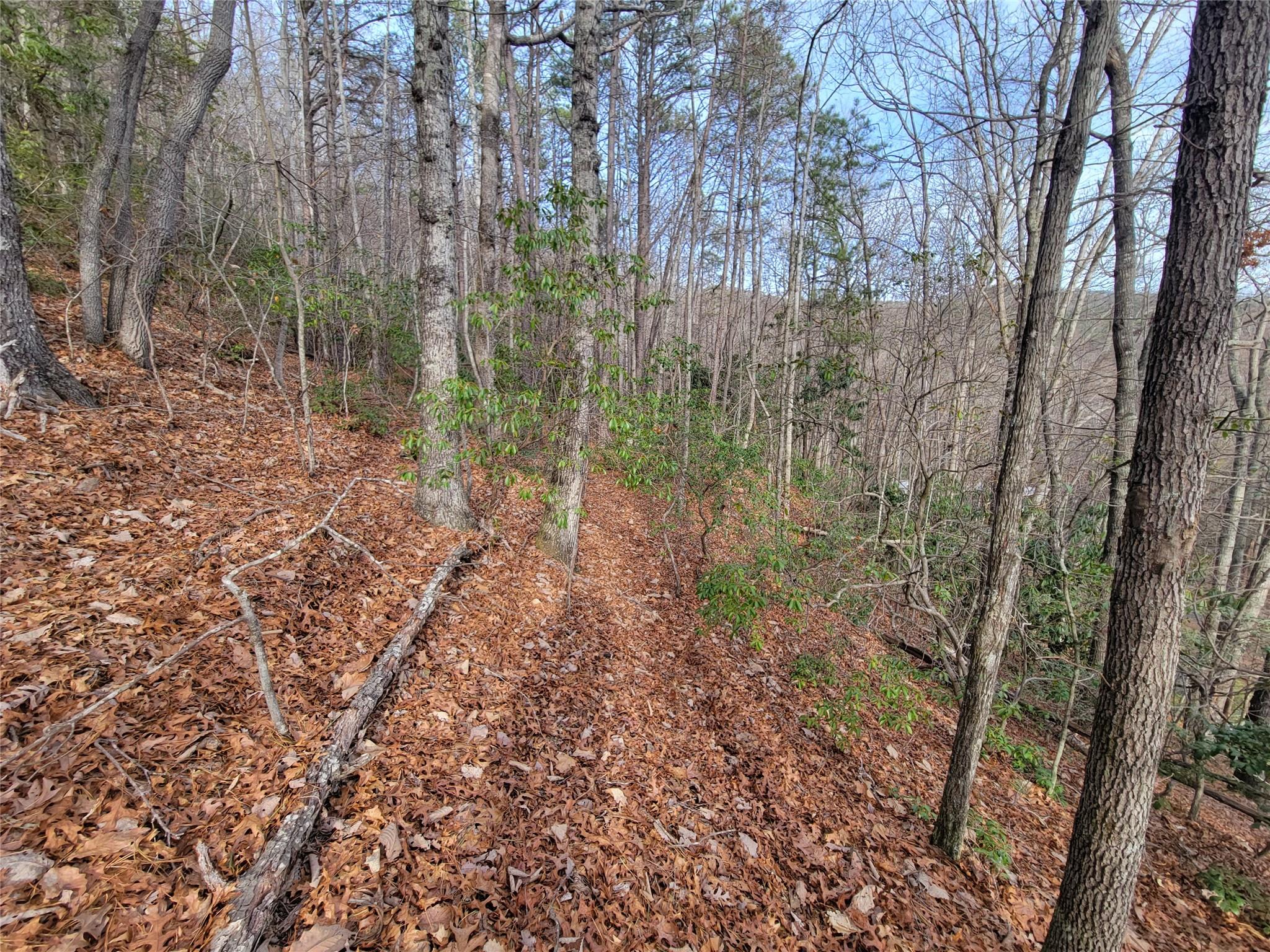 0000 Lookout Terrace Road Black Mountain NC 28711