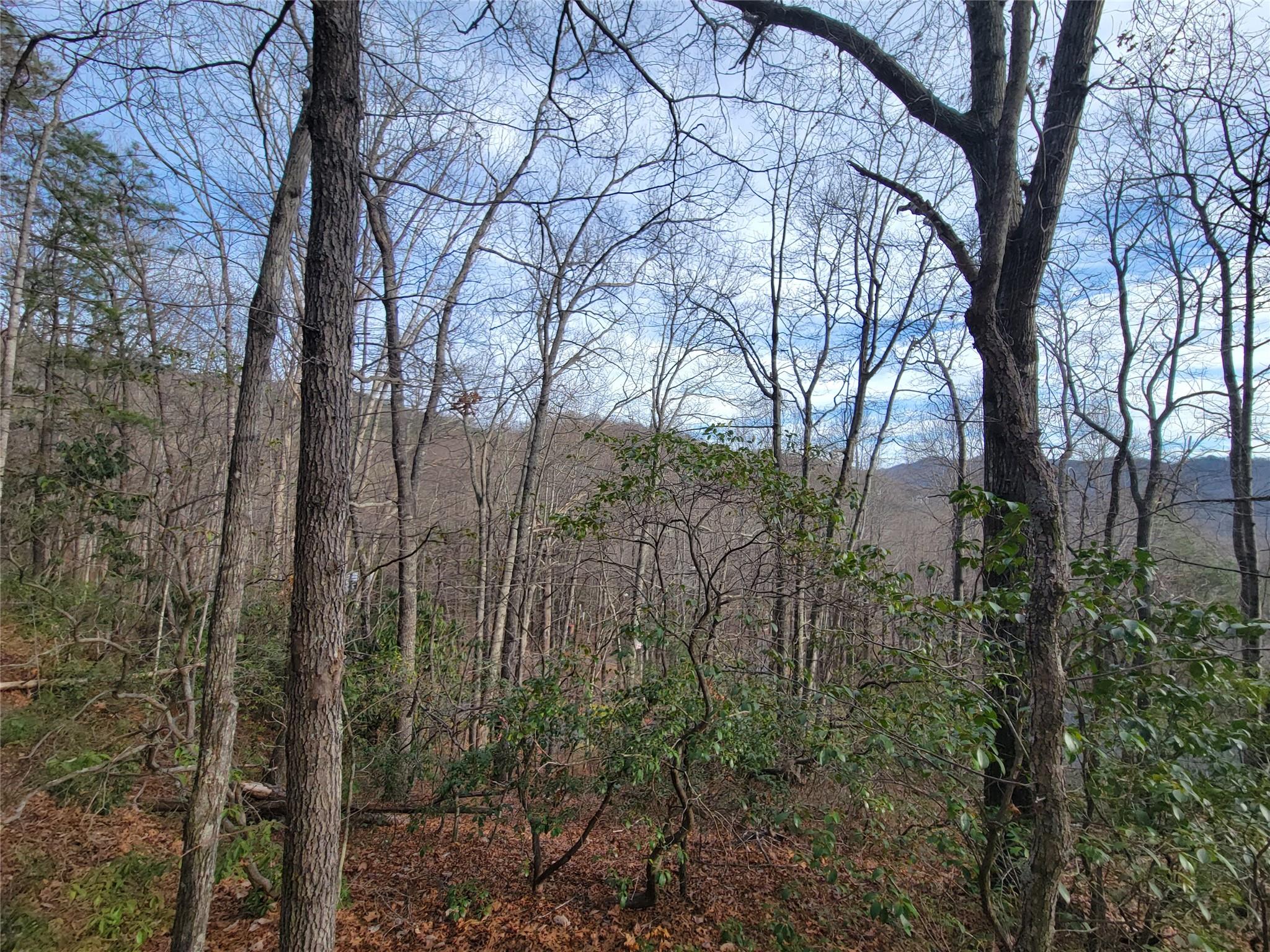 0000 Lookout Terrace Road Black Mountain NC 28711