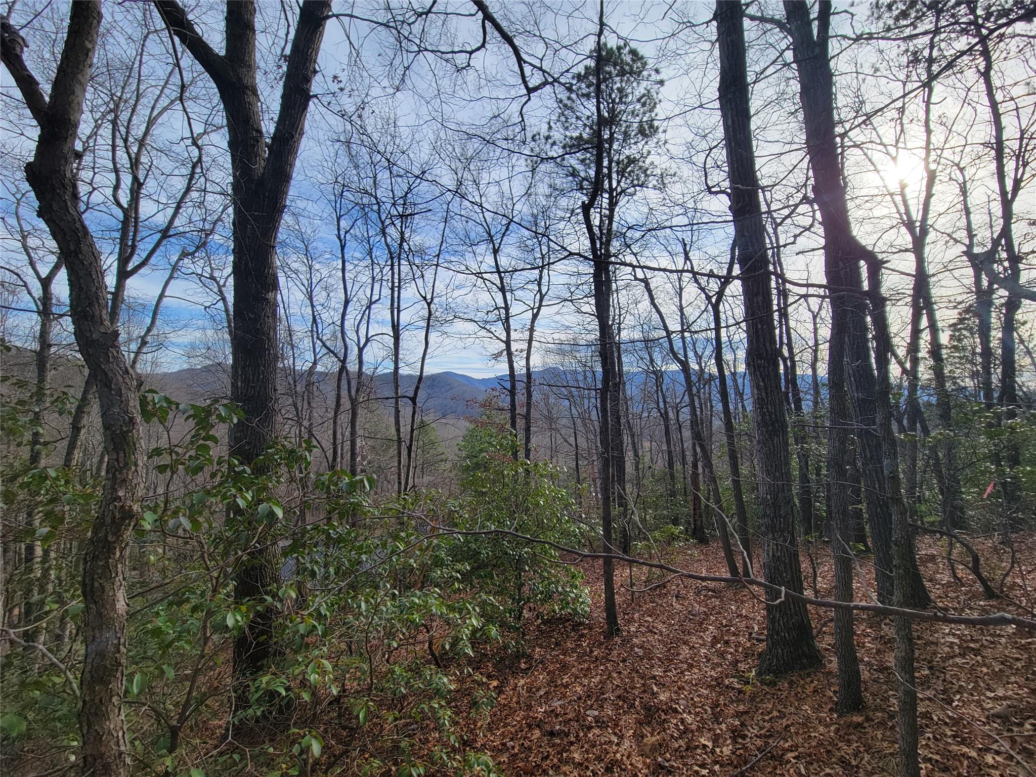 0000 Lookout Terrace Road Black Mountain NC 28711