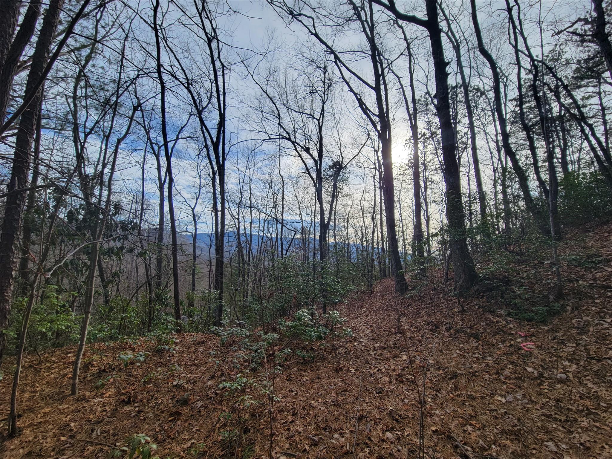 0000 Lookout Terrace Road Black Mountain NC 28711