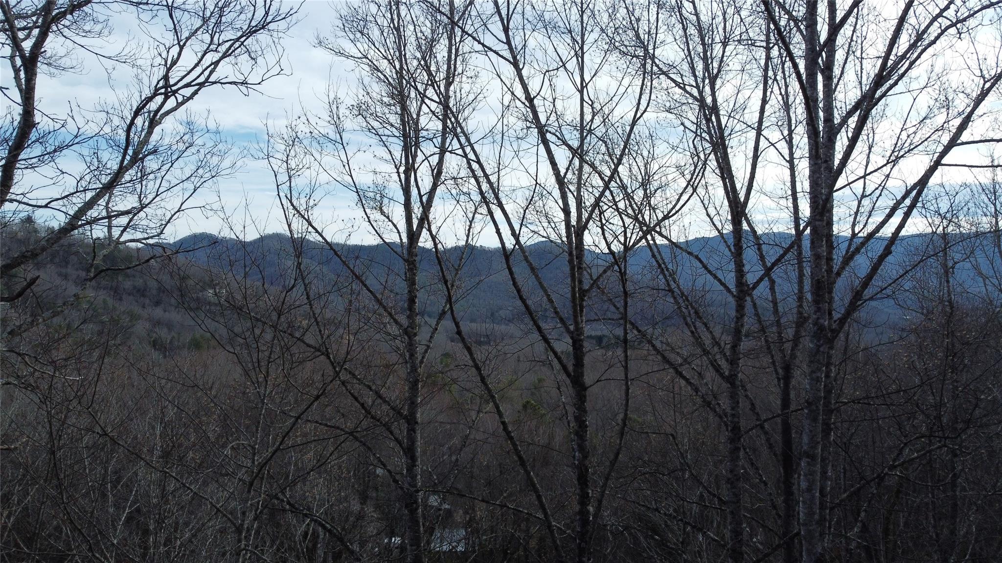 0000 Lookout Terrace Road Black Mountain NC 28711