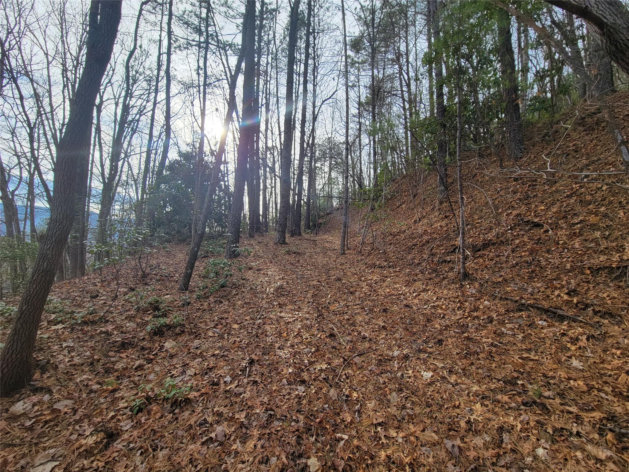 0000 Lookout Terrace Road Black Mountain NC 28711