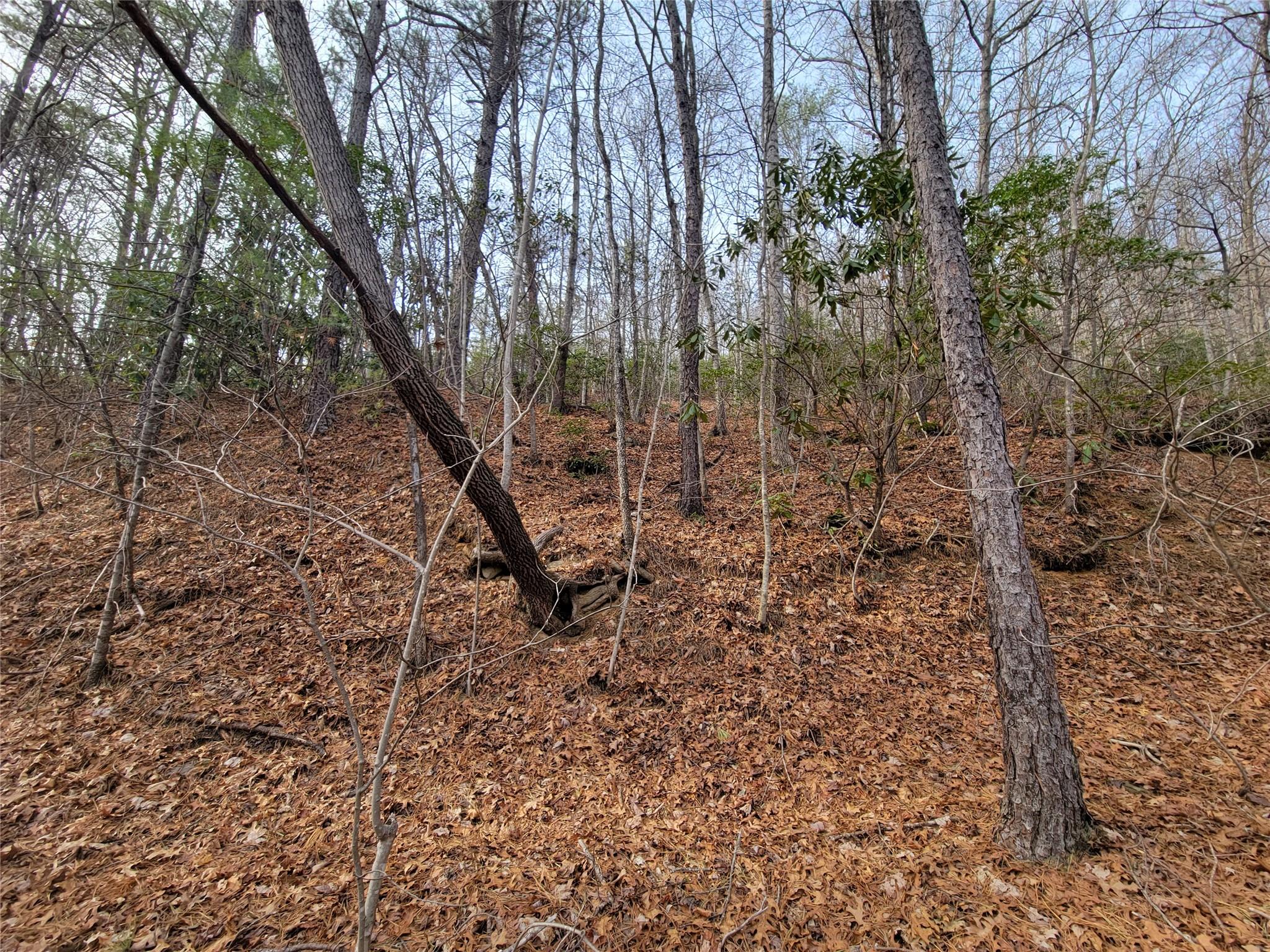 0000 Lookout Terrace Road Black Mountain NC 28711