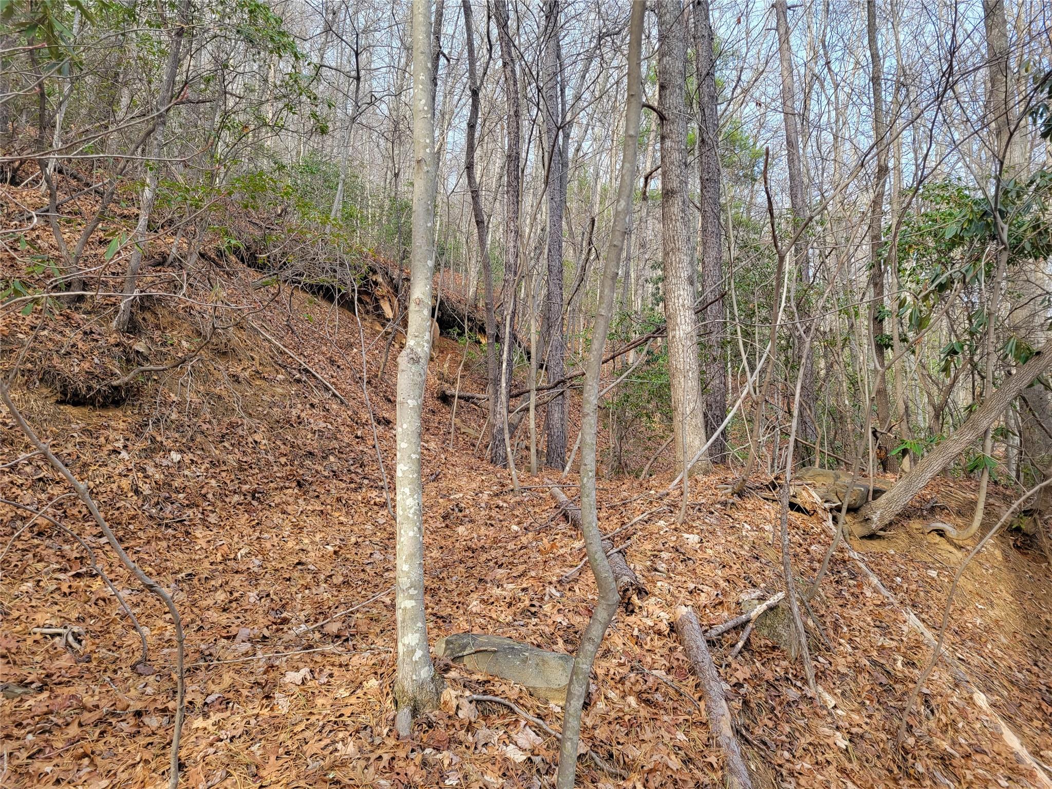 0000 Lookout Terrace Road Black Mountain NC 28711