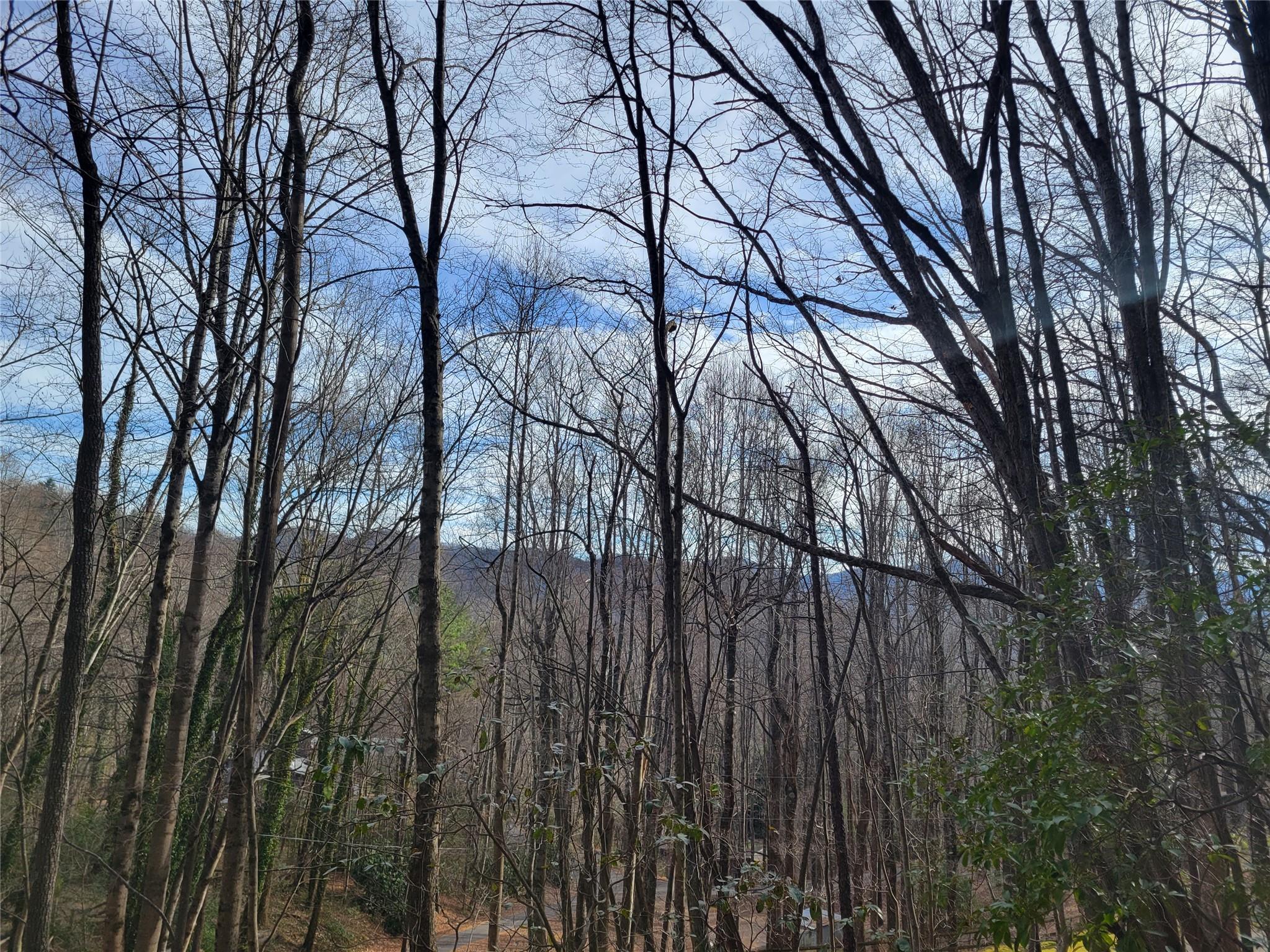 0000 Lookout Terrace Road Black Mountain NC 28711