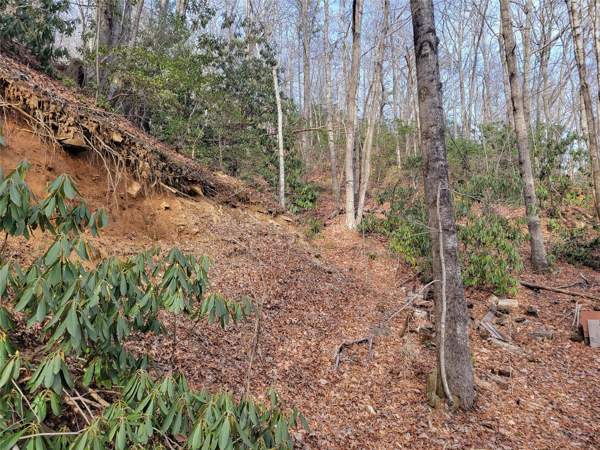0000 Lookout Terrace Road Black Mountain NC 28711