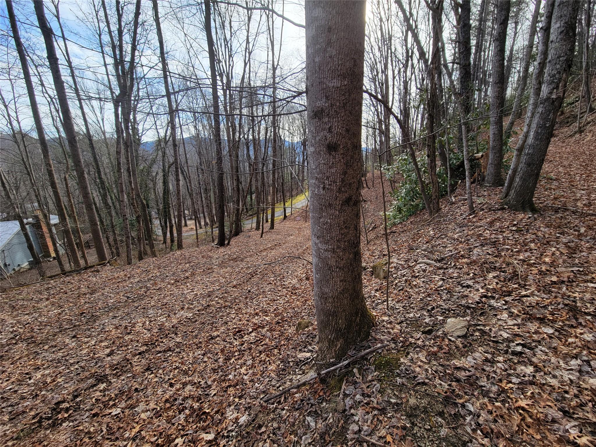 0000 Lookout Terrace Road Black Mountain NC 28711