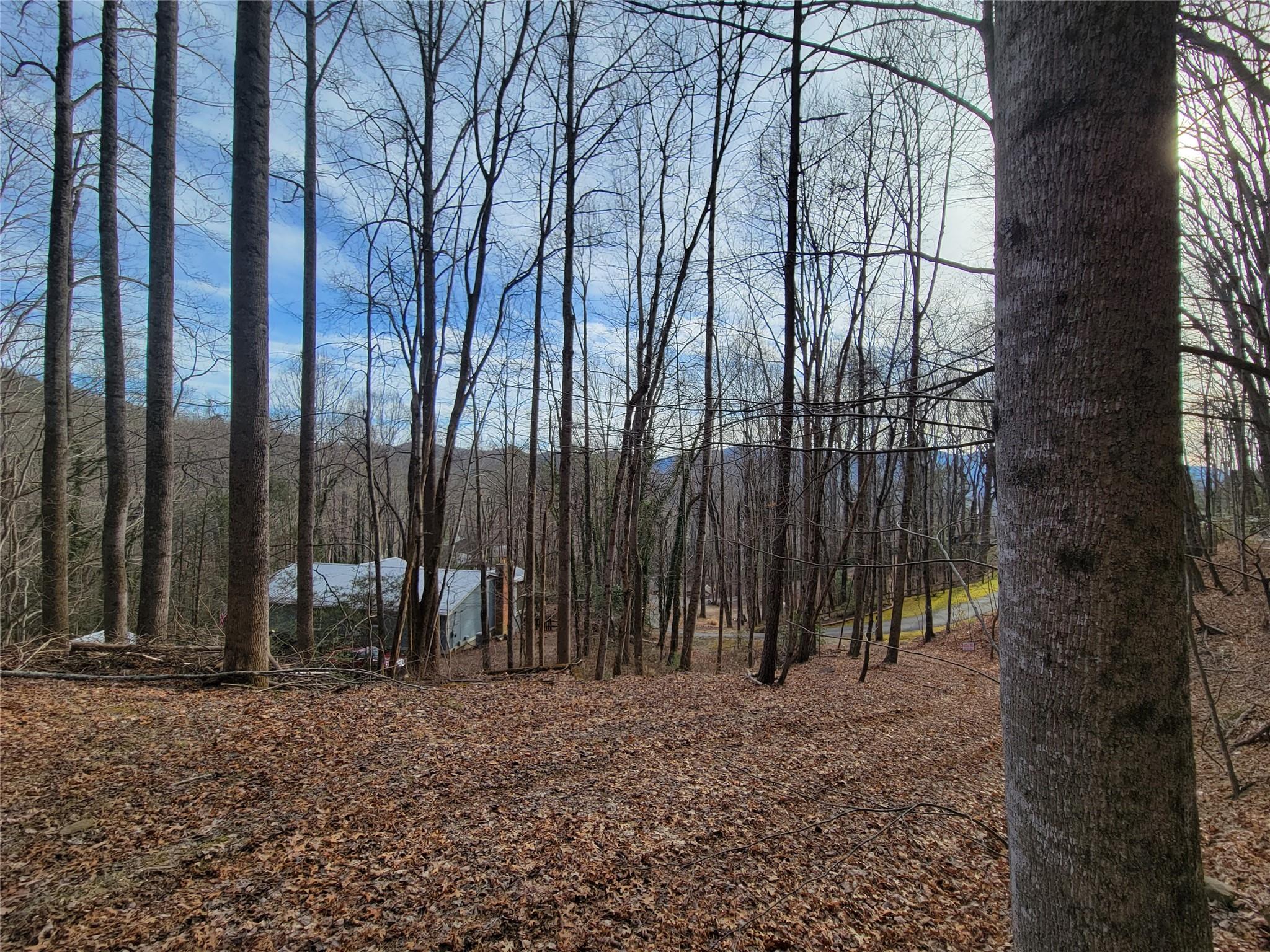0000 Lookout Terrace Road Black Mountain NC 28711