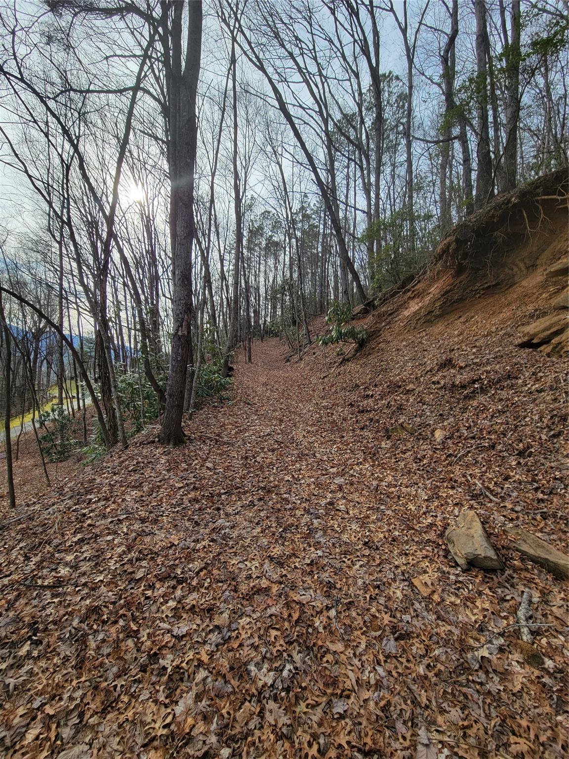 0000 Lookout Terrace Road Black Mountain NC 28711
