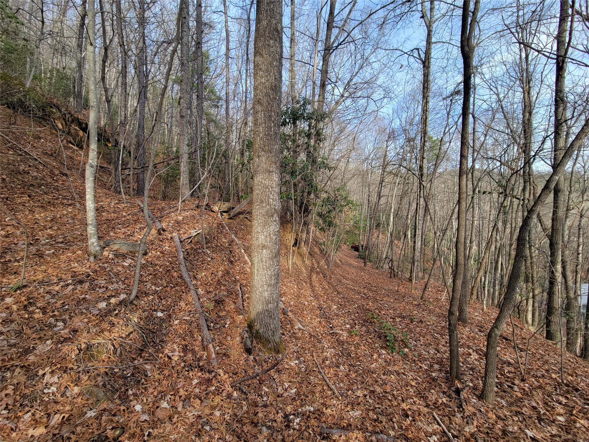 0000 Lookout Terrace Road Black Mountain NC 28711