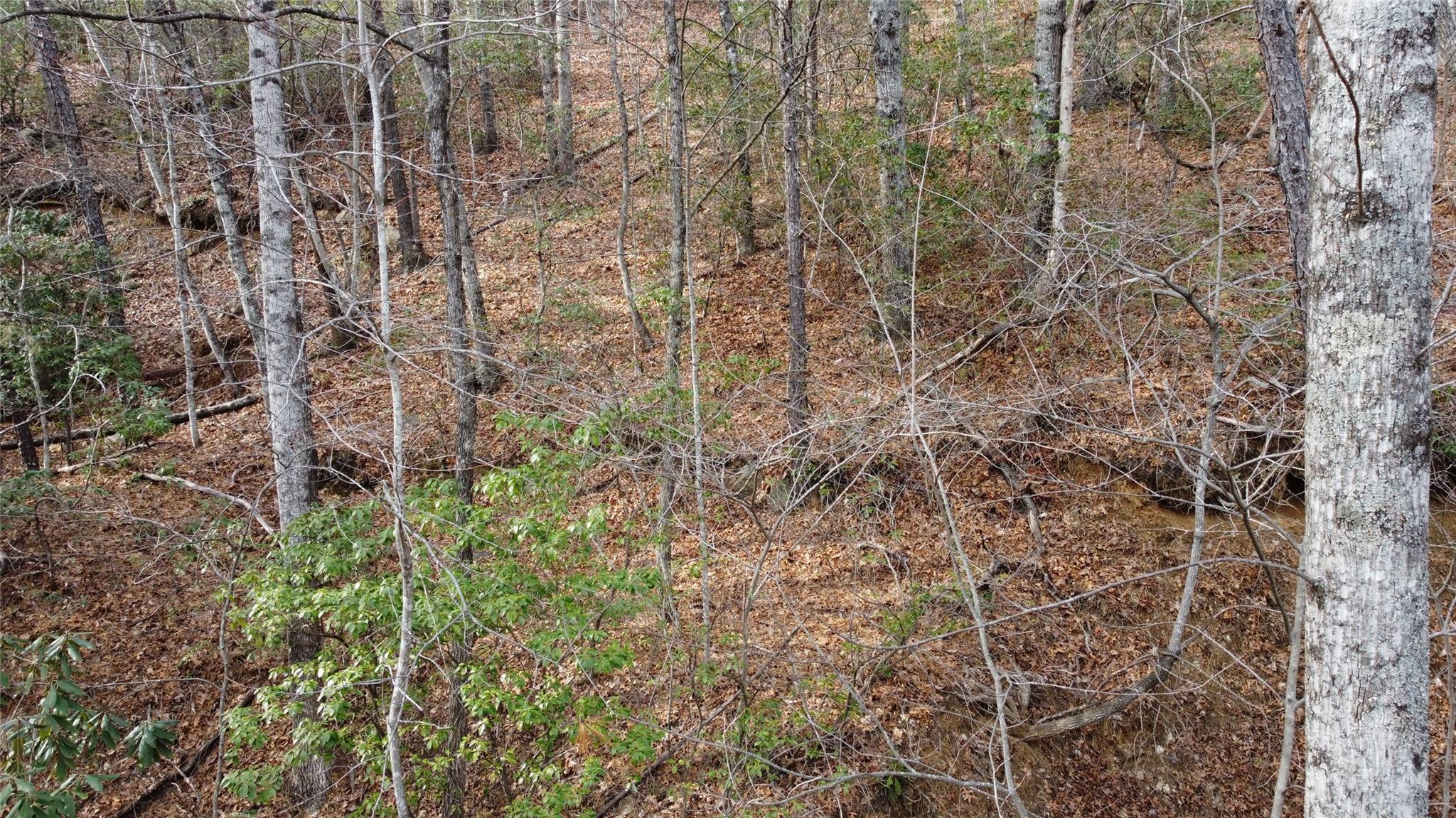 0000 Lookout Terrace Road Black Mountain NC 28711