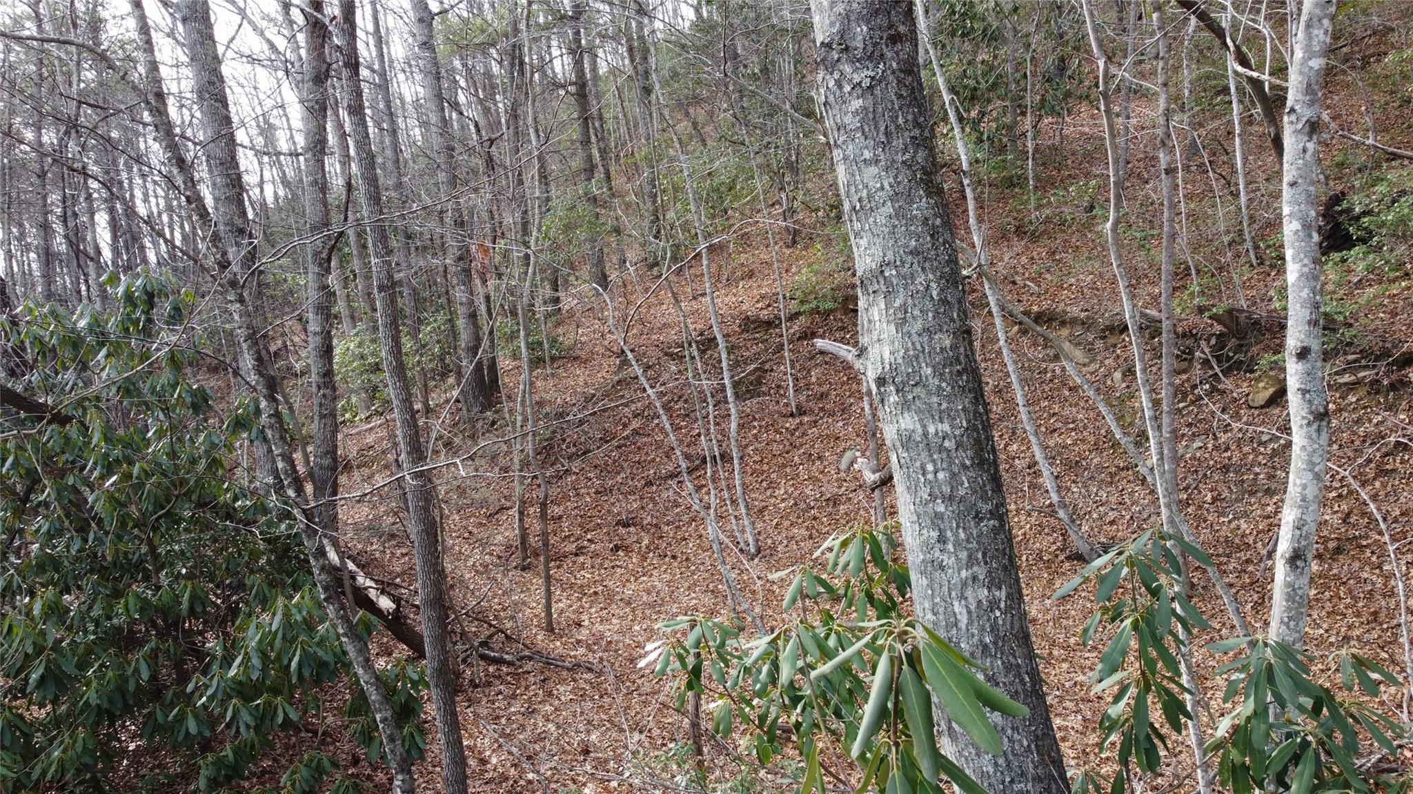 0000 Lookout Terrace Road Black Mountain NC 28711