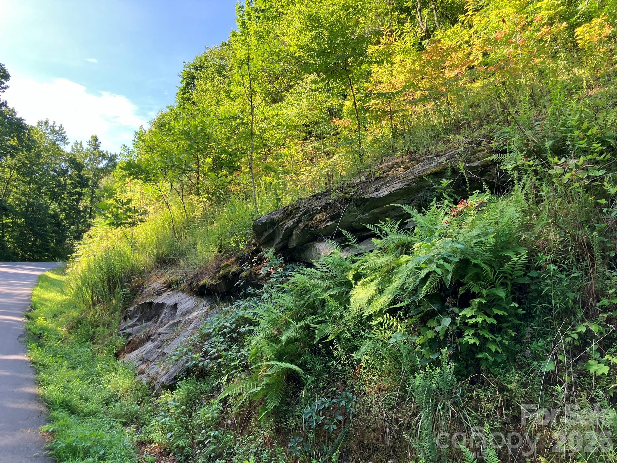 0 Grey Rock Parkway Lake Lure NC 28746
