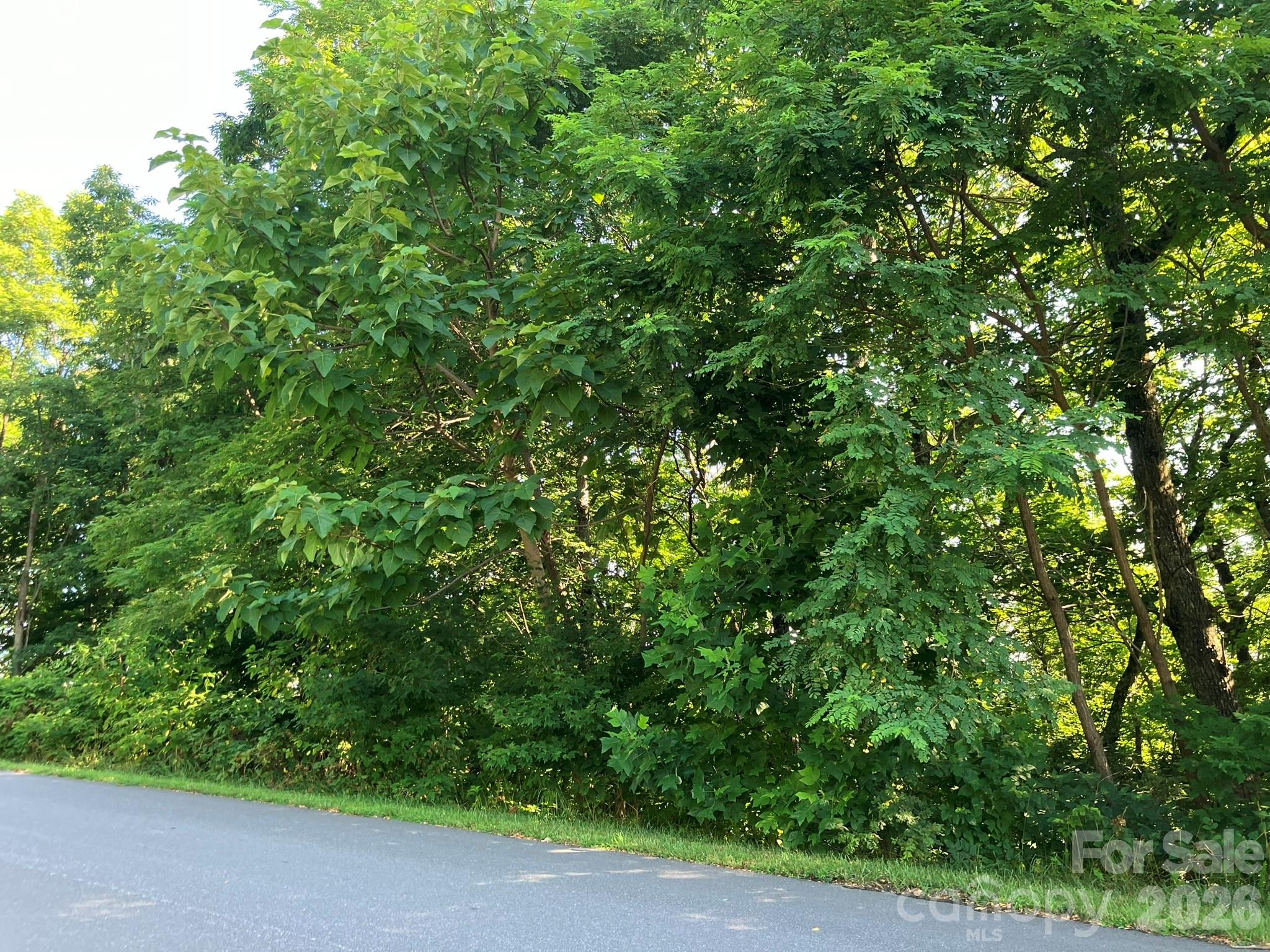 0 Grey Rock Parkway Lake Lure NC 28746