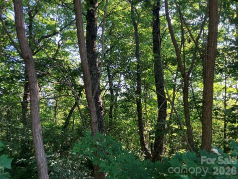 0 Grey Rock Parkway Lake Lure NC 28746