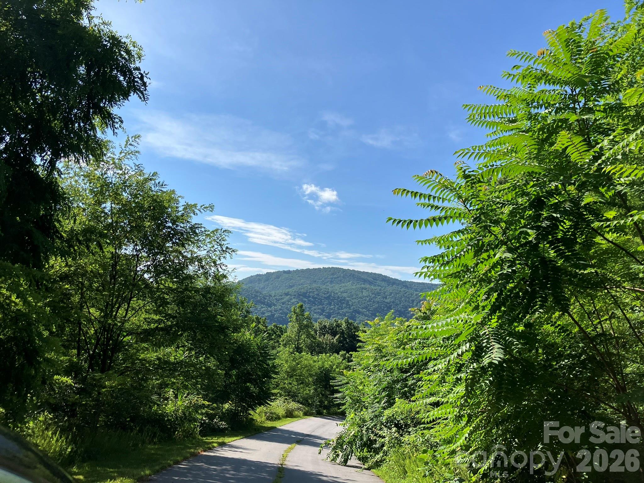 0 Grey Rock Parkway Lake Lure NC 28746