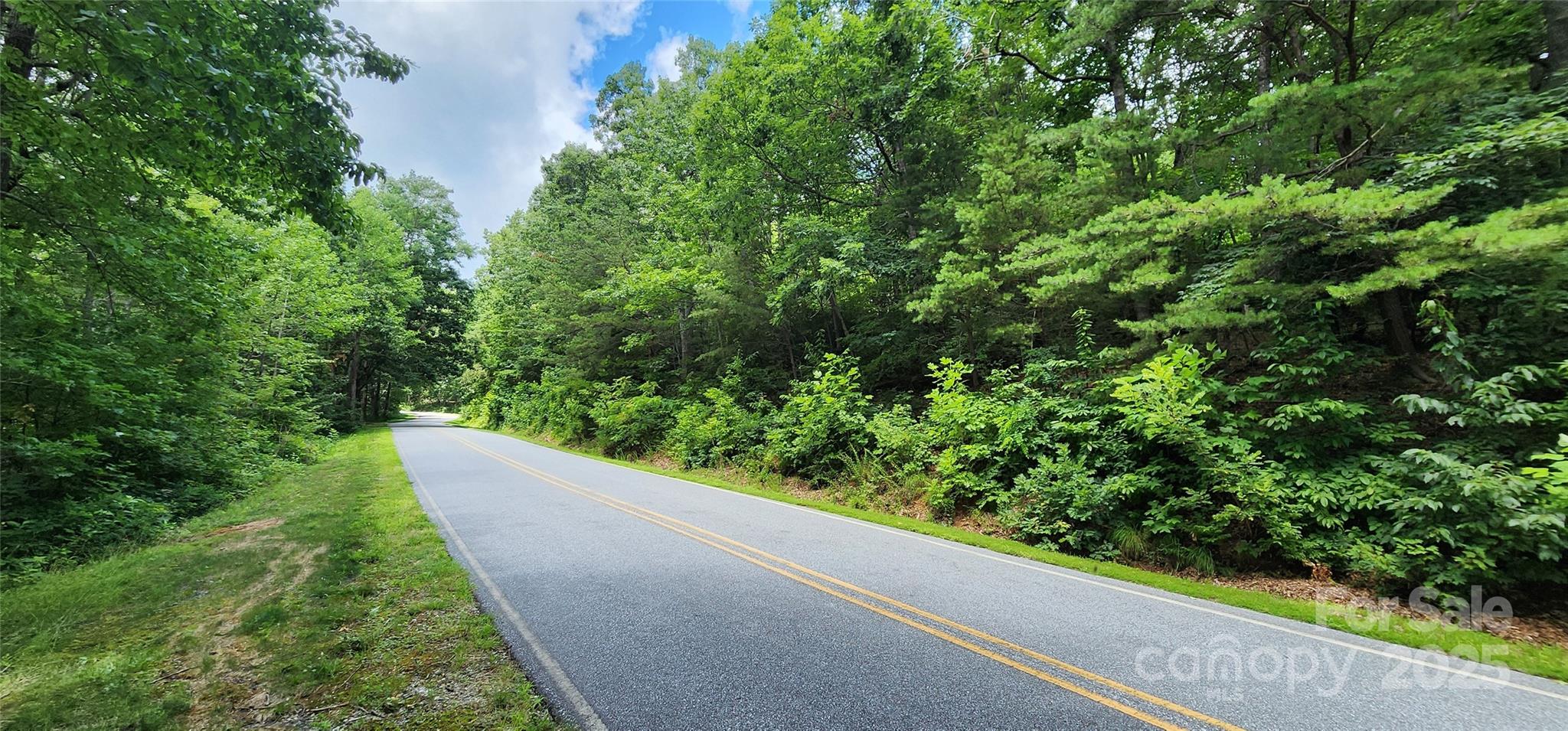 Lot 36 White Oak Mountain Road Columbus NC 28722