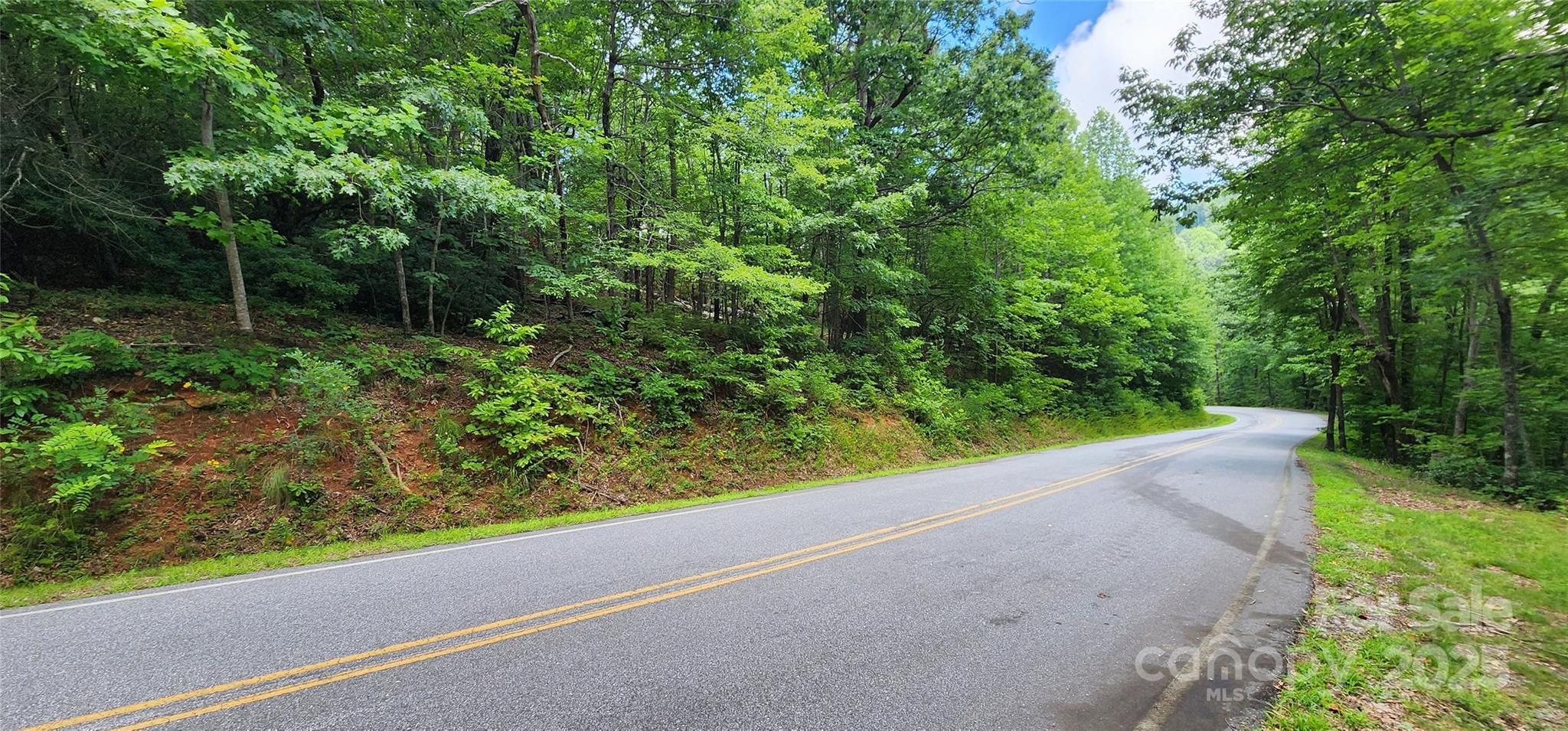 Lot 36 White Oak Mountain Road Columbus NC 28722