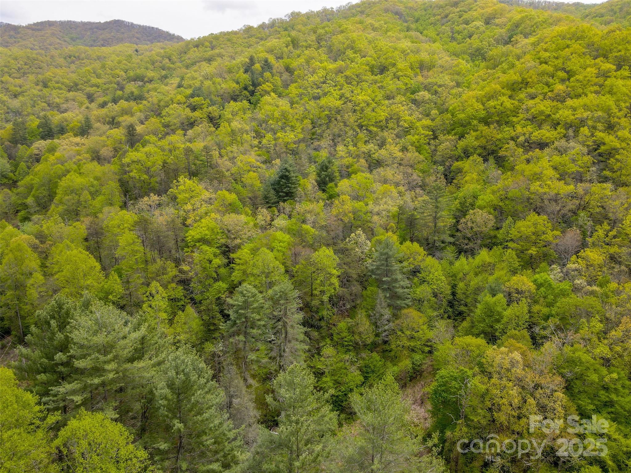 2360 Wayehutta Road Cullowhee NC 28723