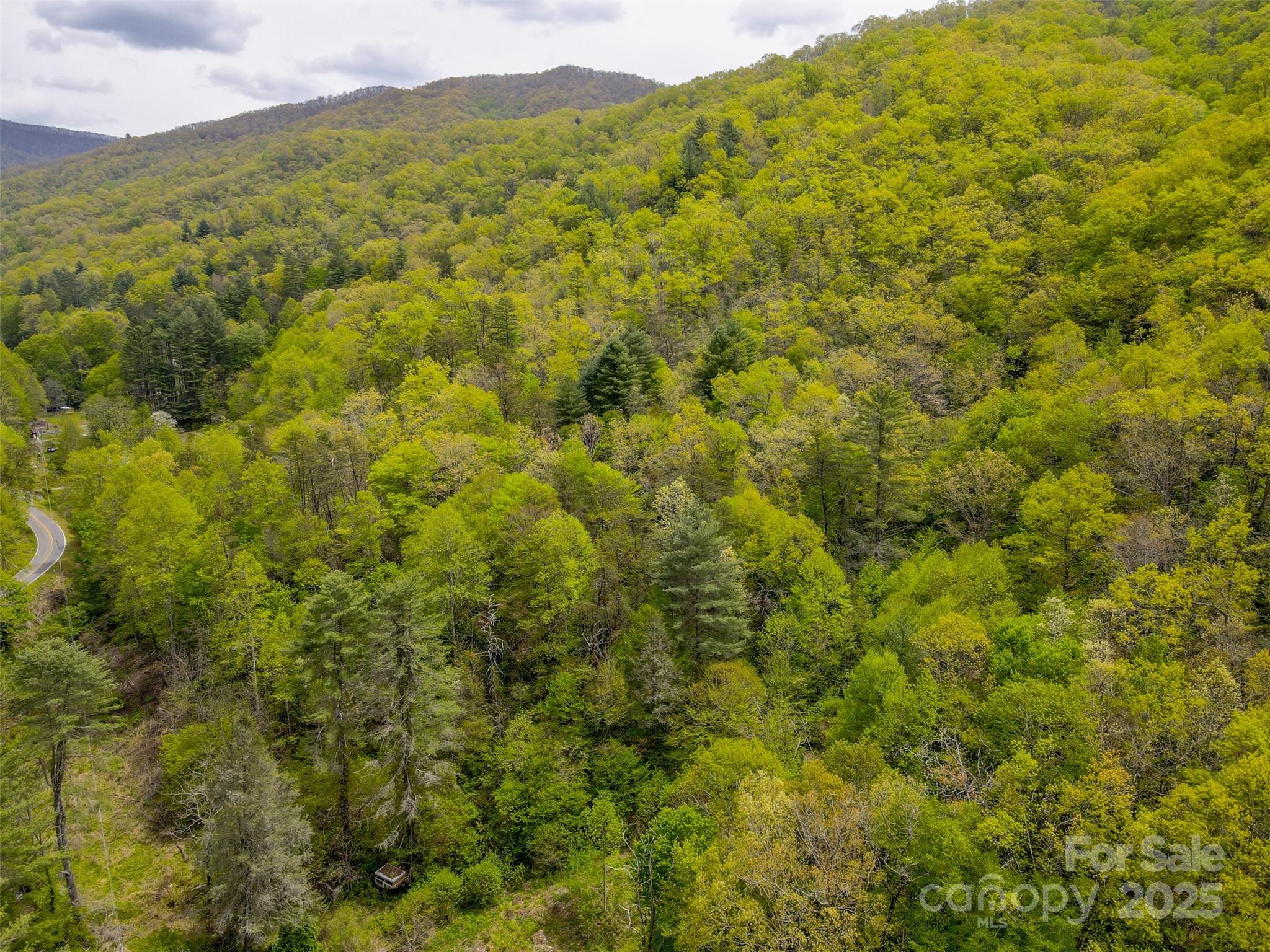 2360 Wayehutta Road Cullowhee NC 28723