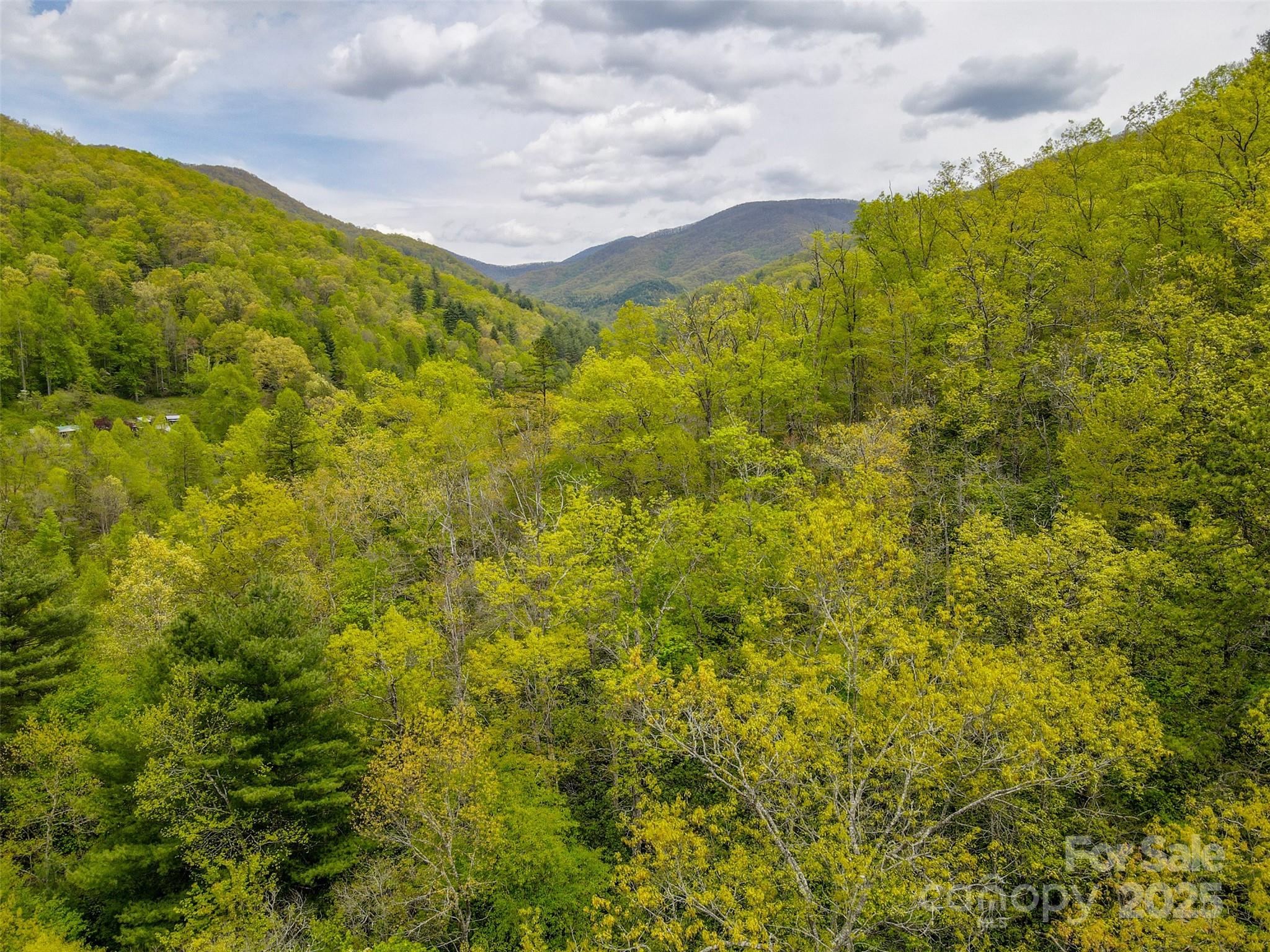 2360 Wayehutta Road Cullowhee NC 28723