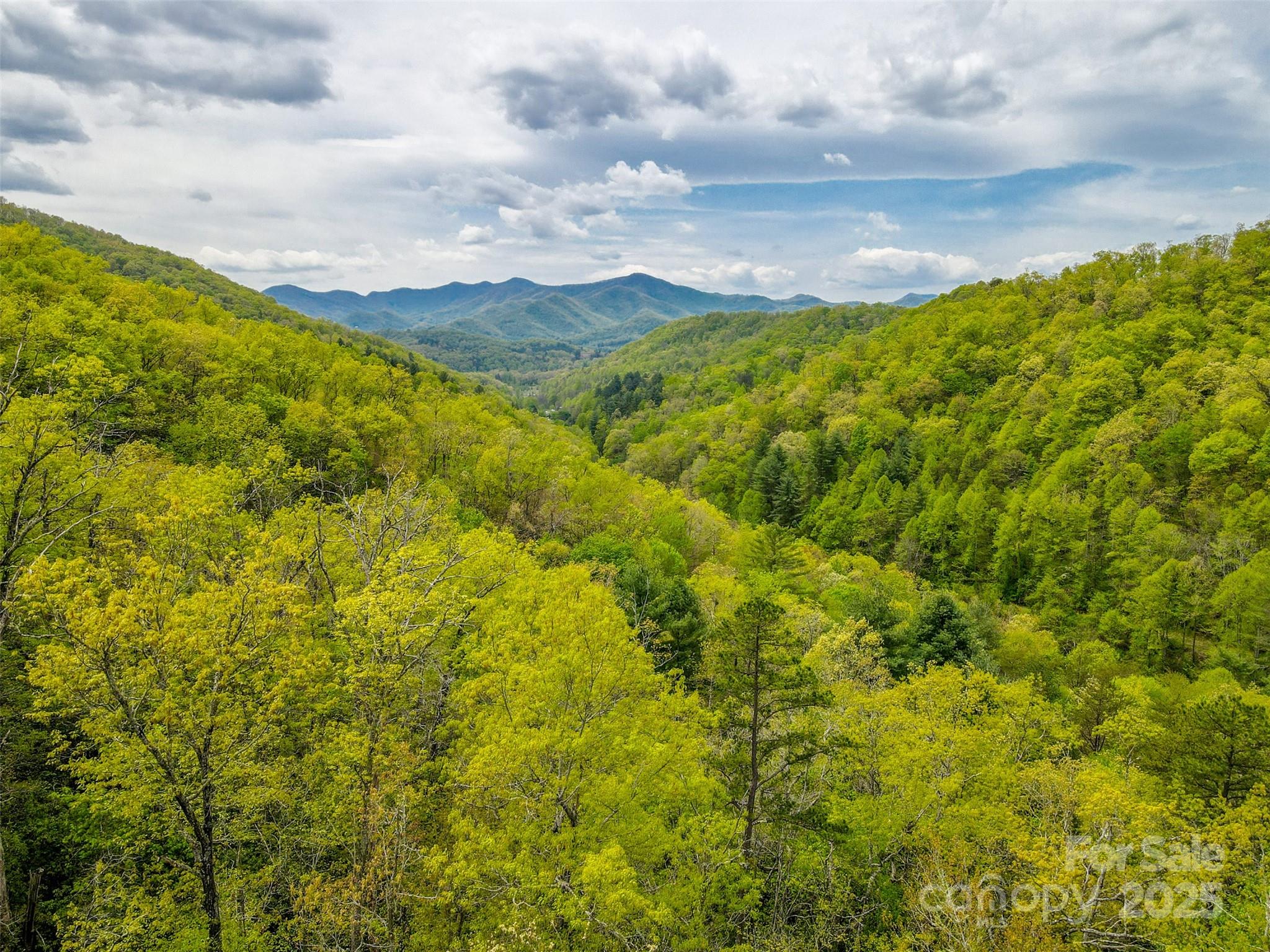 2360 Wayehutta Road Cullowhee NC 28723