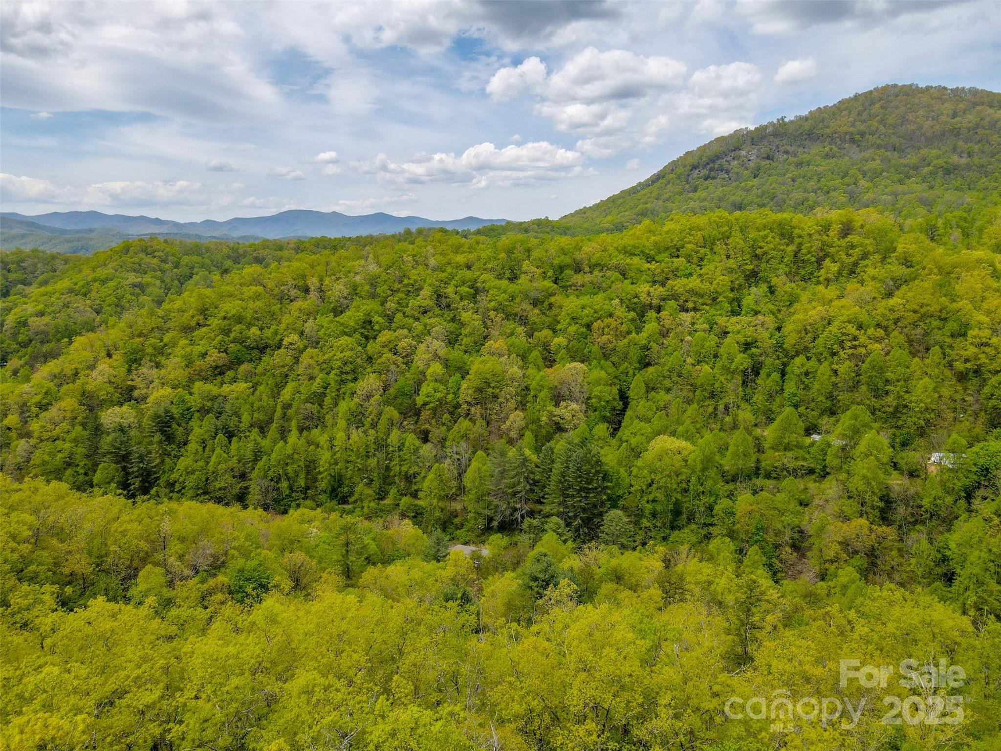 2360 Wayehutta Road Cullowhee NC 28723