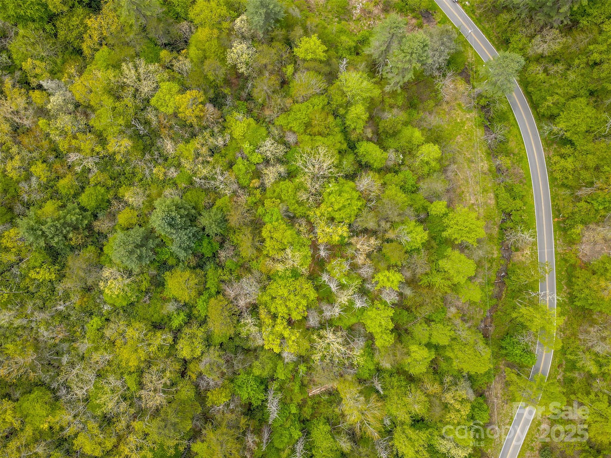 2360 Wayehutta Road Cullowhee NC 28723