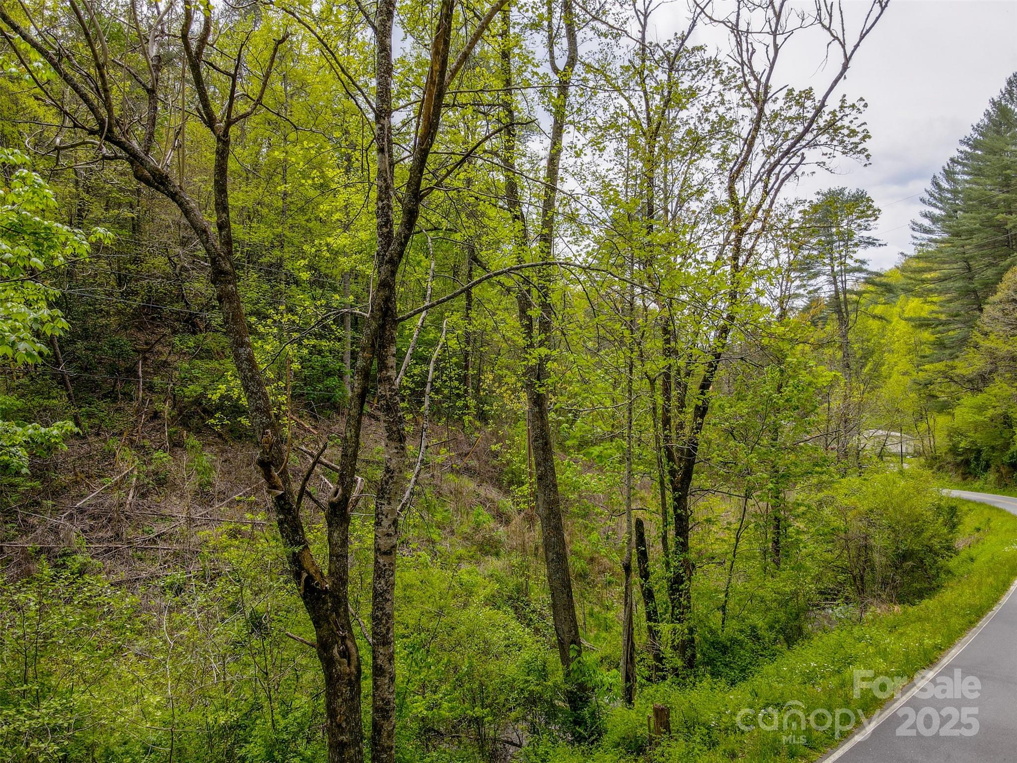 2360 Wayehutta Road Cullowhee NC 28723