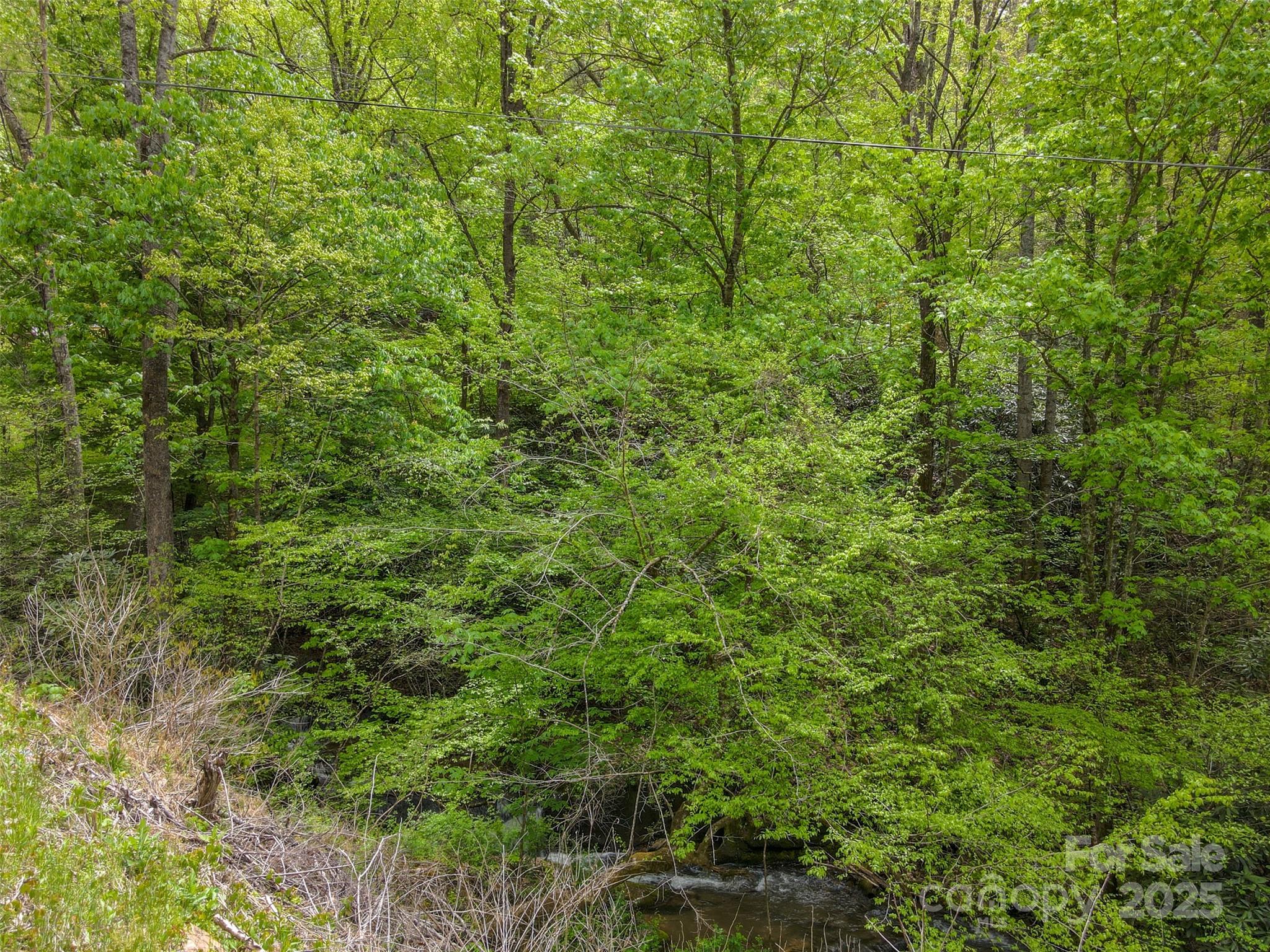 2360 Wayehutta Road Cullowhee NC 28723