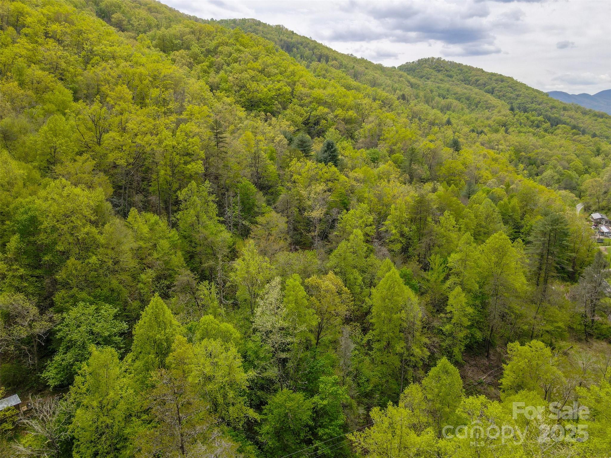 2360 Wayehutta Road Cullowhee NC 28723