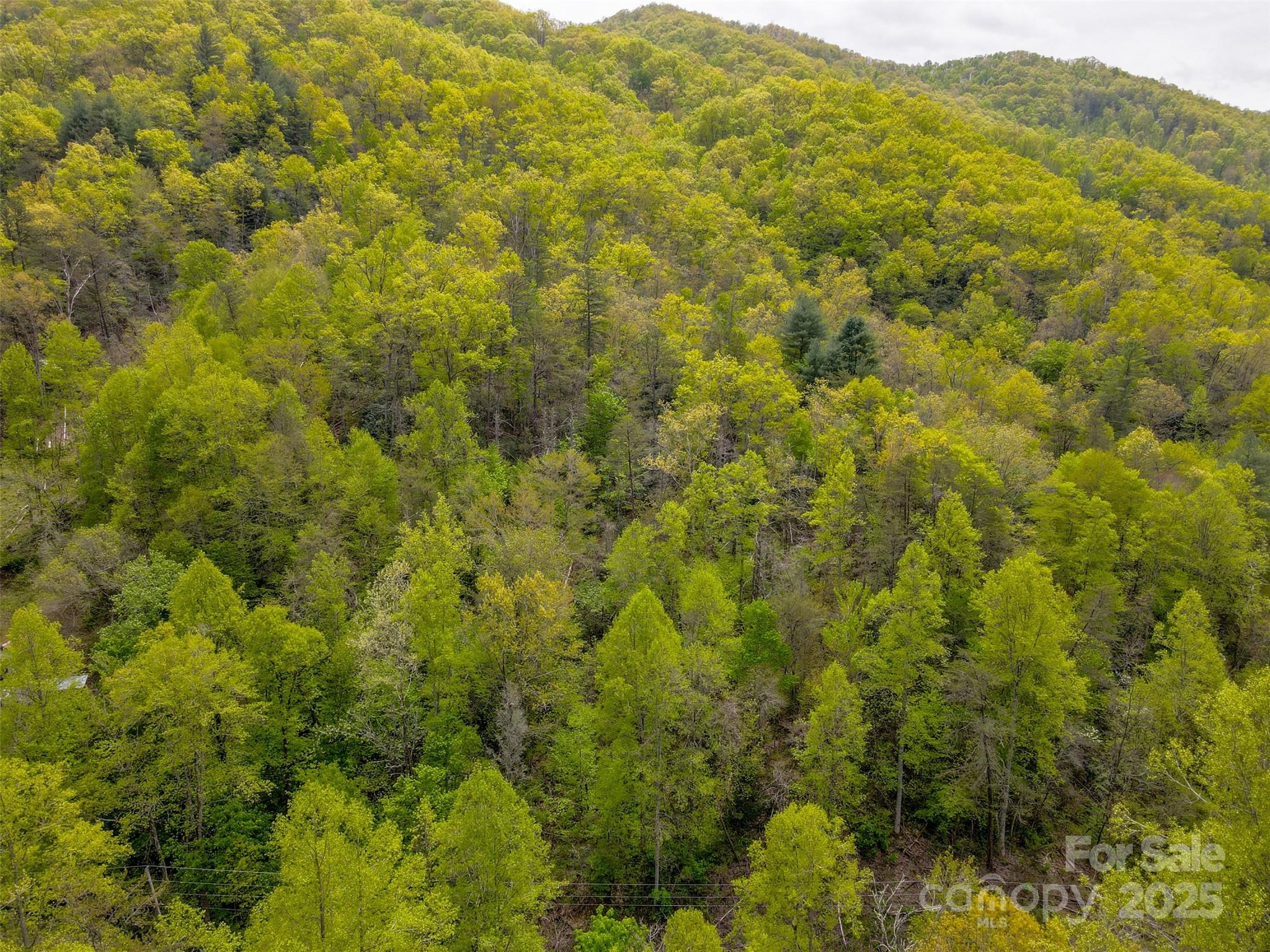 2360 Wayehutta Road Cullowhee NC 28723