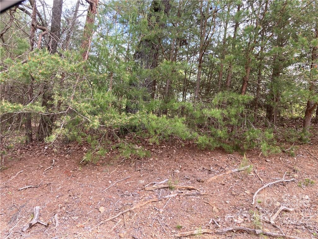 V/l Horseshoe Trail Connelly Springs NC 28612