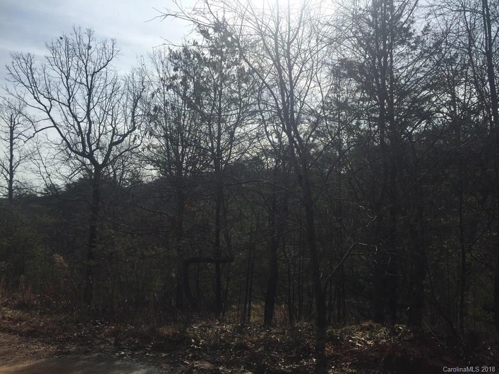 386 Bishop Lane Mill Spring NC 28756