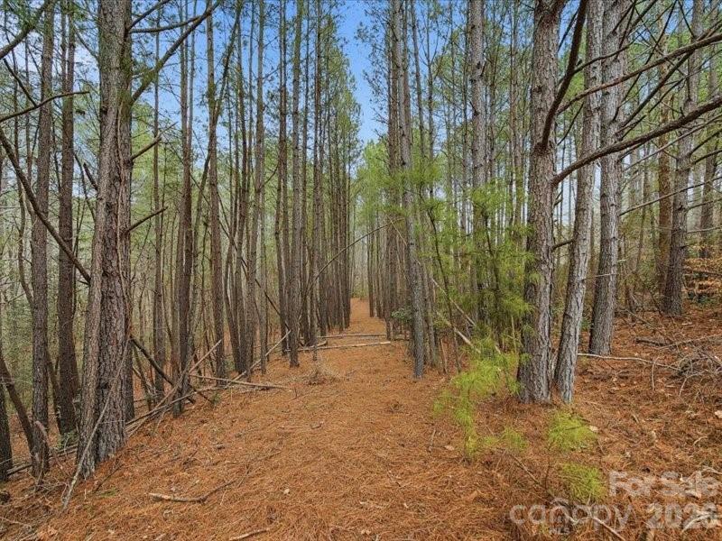 108 Rivercliff Drive W Connelly Springs NC 28612