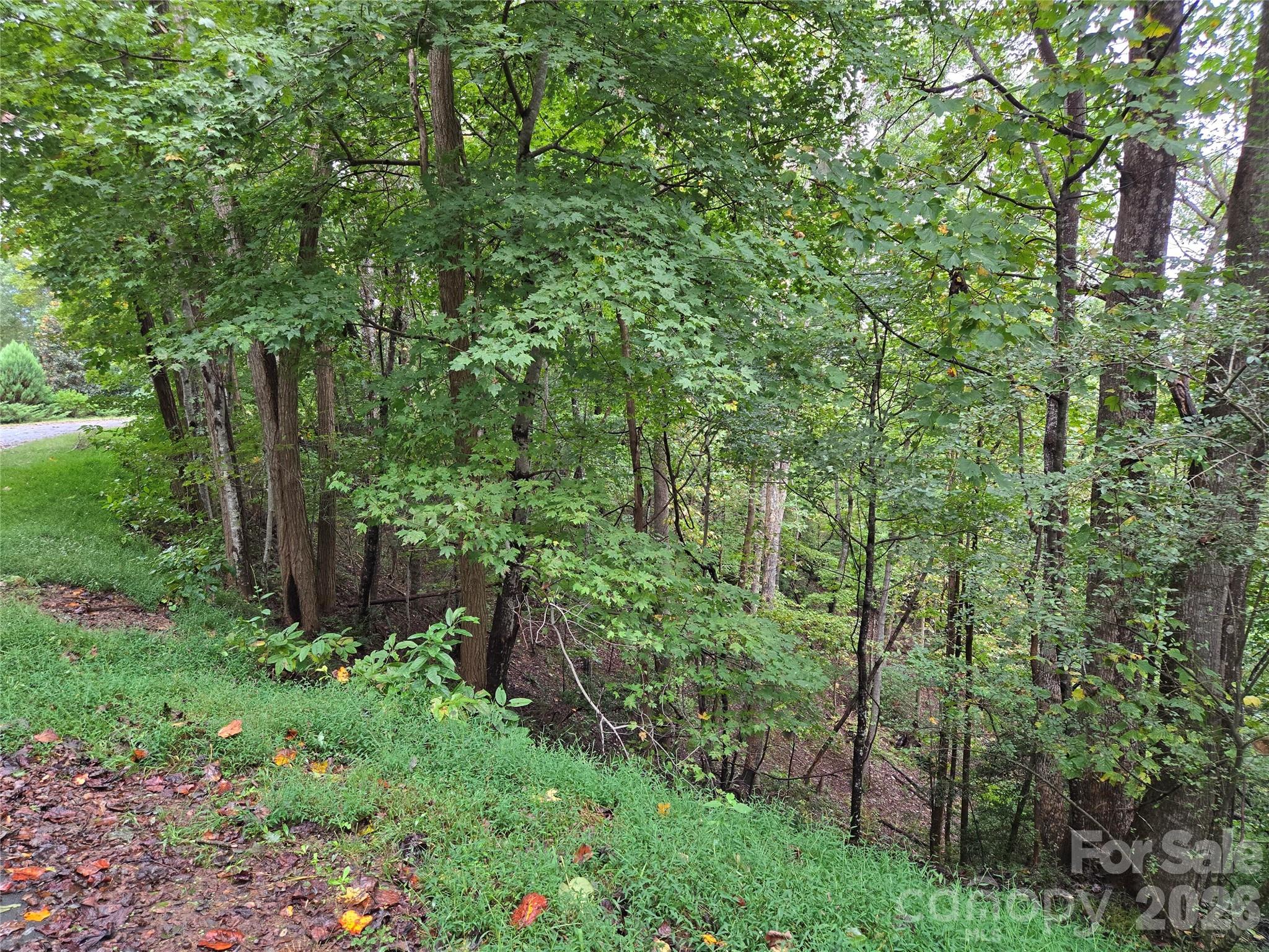0 Waterside Drive Lake Lure NC 28746